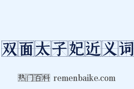 双面太子妃近义词是什么意思的图片